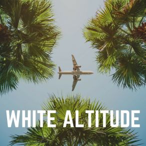 Download track Cognitive Calming White Noise, Pt. 8 Airplane White Noise