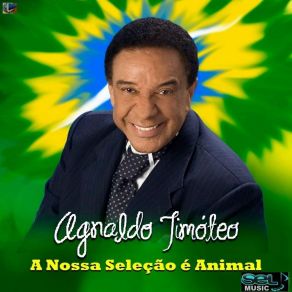 Download track A Nossa Seleção É Animal (Karaoké) Agnaldo Timóteo