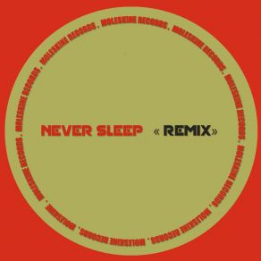 Download track Never Sleep (Lois Fr & Fruckie Remix) DarelectricFruckie, Lois (Fr)