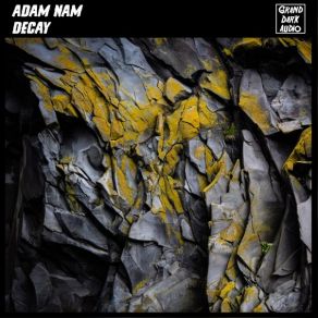 Download track Decay Adam Nam