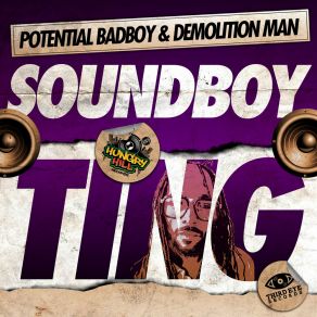 Download track Soundboy Ting (VIP Dub) Demolition Man