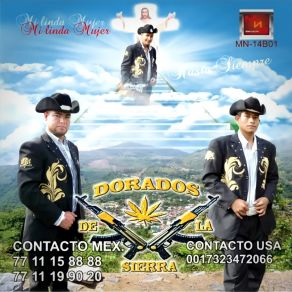 Download track Sentencia De Amor Dorados De La Sierra