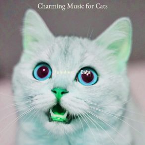 Download track Friendly (Kittens) Charming Music For Cats