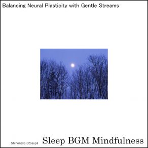 Download track Astral Serenity Amidst Neural Waves Sleep BGM Mindfulness