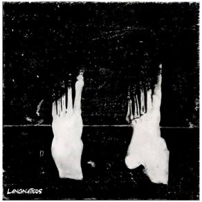 Download track Seek And Find Langnaticos