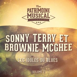 Download track Strange Blues Brownie McGhee