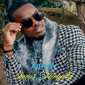 Download track Amor Fingido Xandy