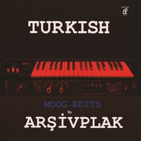 Download track Yarim Gitti Cesmeye Arşivplak