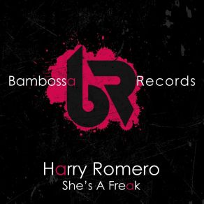 Download track She's A Freak (Extended Mix) Harry Romero