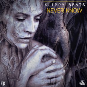 Download track Never Know (Radio Edit) Slippy Beats