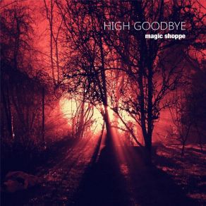 Download track High Goodbye Magic Shoppe