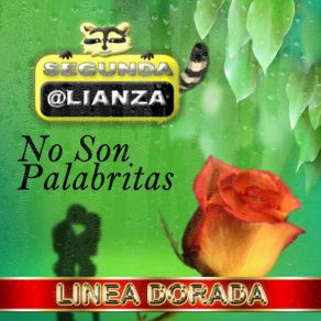 Download track Corazón De Roca Segunda Alianza