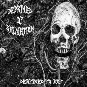 Download track Destined To Rot Deprived Of Salvation