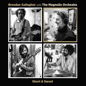 Download track In Love, Fell The Magnolia Orchestra