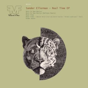 Download track Born In New Mexico (Original Mix) Sander Ellerman