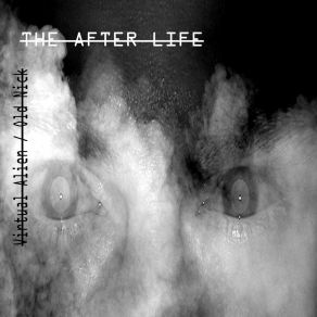 Download track The After Life: I've Met My Lost Brother Virtual Alien