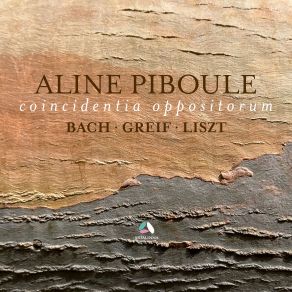 Download track Harmonies Poétiques Et Religieuses III, S. 173: No. 3. Bénédiction De Dieu Dans La Solitude. Moderato Aline Piboule