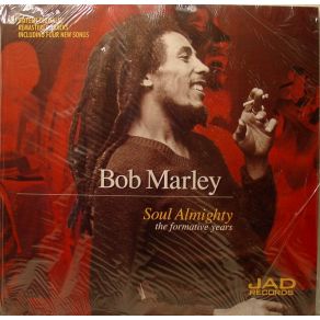 Download track Splish For My Splash - (Remix)  Bob Marley