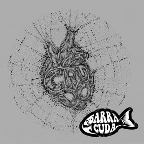 Download track Amanece Barracuda