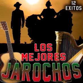 Download track Huapanguerito Los Mejores Jarochos