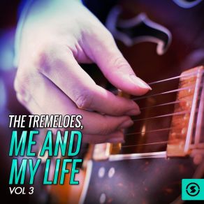 Download track Lights Of Port Royal The Tremeloes