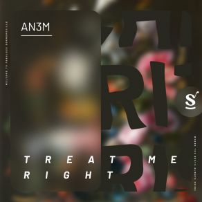 Download track Treat Me Right (Extended Mix) AN3M