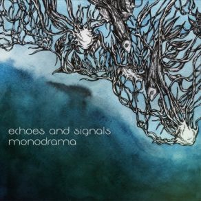 Download track Magnolia Echoes And Signals