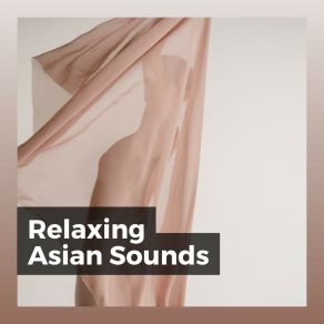 Download track Ambient Attention, Pt. 13 Relaxing Asian Spa Music