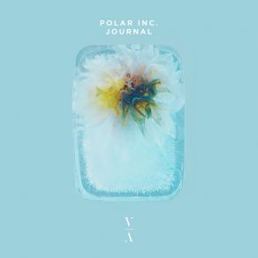 Download track Elve Polar Inc