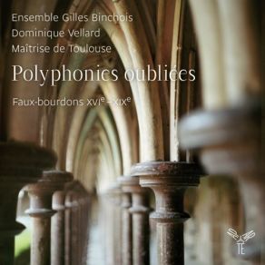 Download track 2-03 - Ave Maris Stella (Hymne) Ensemble Gilles Binchois, Maîtrise De Toulouse