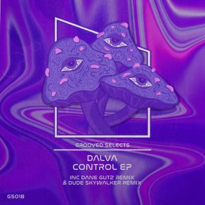 Download track Fuse (Dude Skywalker Remix) DalvaDude Skywalker