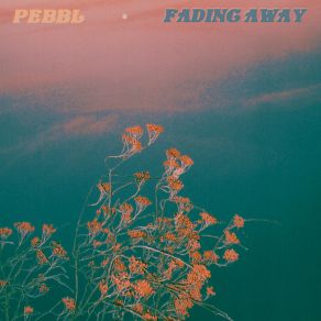 Download track Fading Away Pocket Sun