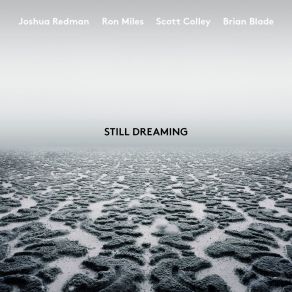 Download track Haze And Aspirations Joshua RedmanScott Colley, Brian Blade, Ron Miles