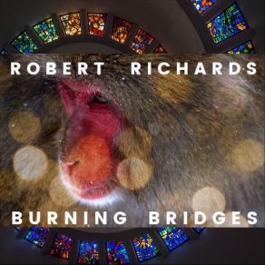 Download track Swami's Robert Richards