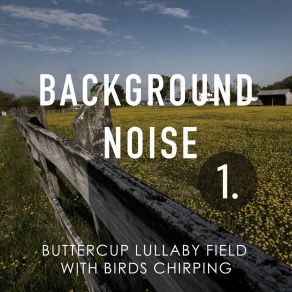 Download track Buttercup Lullaby Field With Birds Chirping, Pt. 3 Thomas O'Reilly