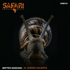 Download track De Safari En Montañita (Original Mix) Matteo Quezada