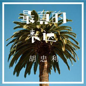 Download track 最真的表达 (伴奏) 胡忠利