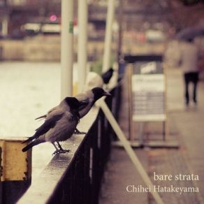 Download track Bare Strata Chihei Hatakeyama