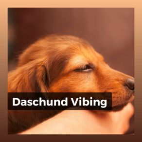 Download track Calming Doggy Times, Pt. 14 Puppy Music