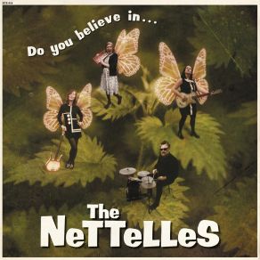 Download track The Incredible Disappearing Woman The Nettelles