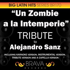 Download track Un Zombie A La Intemperie (In The Style Of Alejandro Sanz) [Karaoke Version] Brava HitMakers