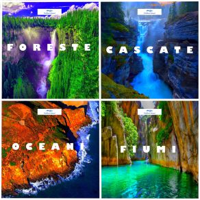 Download track Foreste Chillous Waves