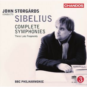 Download track Symphony No. 1 In E Minor - II. Andante (Ma Non Troppo Lento) BBC Philharmonic, John Storgards