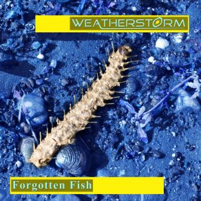 Download track Forgotten Fish (Single Mix) Weatherstorm