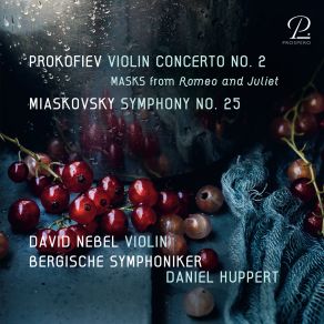 Download track Symphony No. 25 In D-Flat Major III. Allegro Imp Bergische Symphoniker, MyaskovskyDaniel Huppert