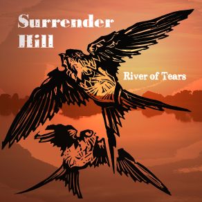 Download track Black Birds Are Black Surrender Hill