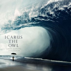 Download track What We Had Was Never Love Icarus The Owl