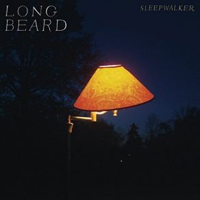 Download track Suburban Sunset Long Beard