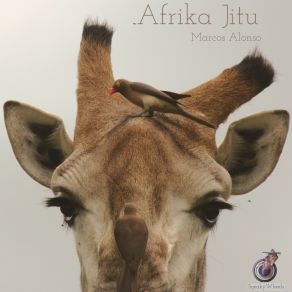 Download track Afrika Jitu (Max Maxwell Arfa Jungle Mix) Marcos AlonsoMax Maxwell