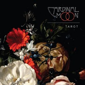 Download track Amarillo Cardinal Moon